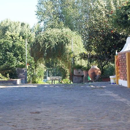 Quartos Do Lagar Golegã Eksteriør bilde